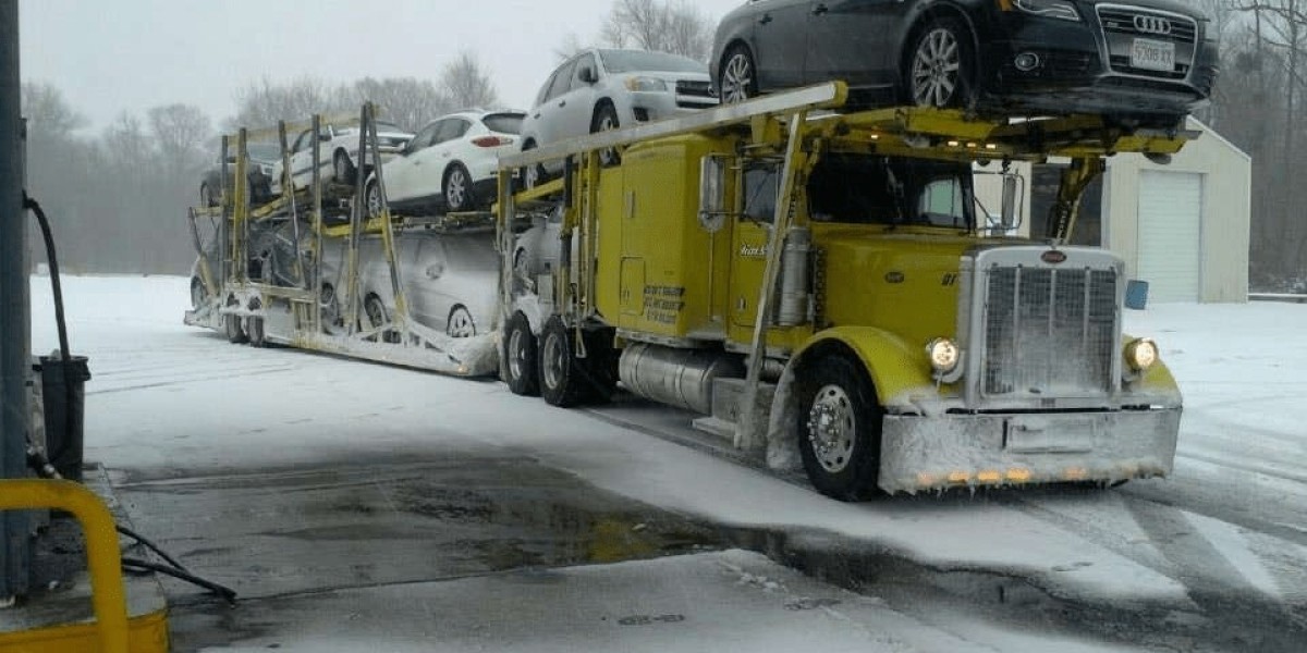 Moving south for winter? Choose Snowbirds Auto Transport for Your Car