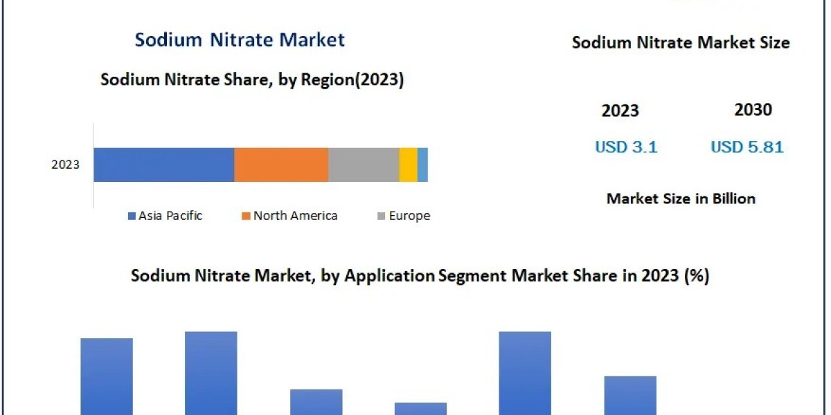 Sodium Nitrate Market Statistical Snapshot: Size, Share, Revenue, and Worth Statistics | 2024-2030