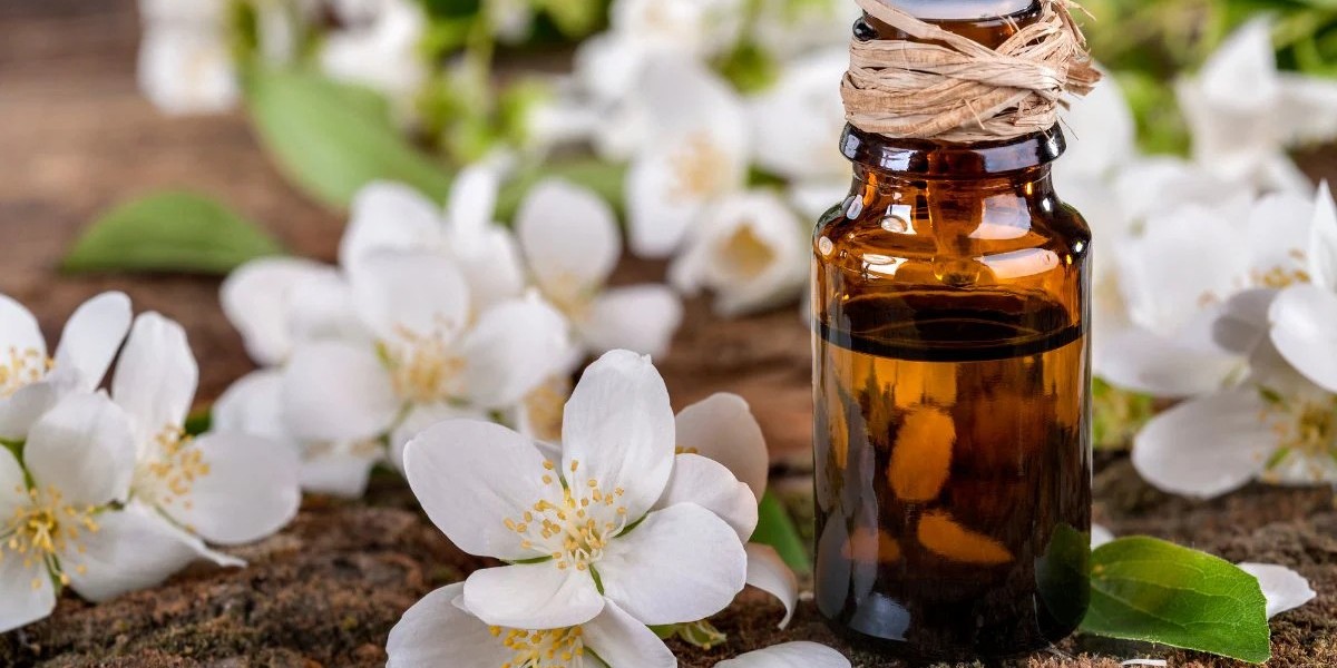 Jasmine Essential Oil: The Floral Elixir for Beauty and Wellness