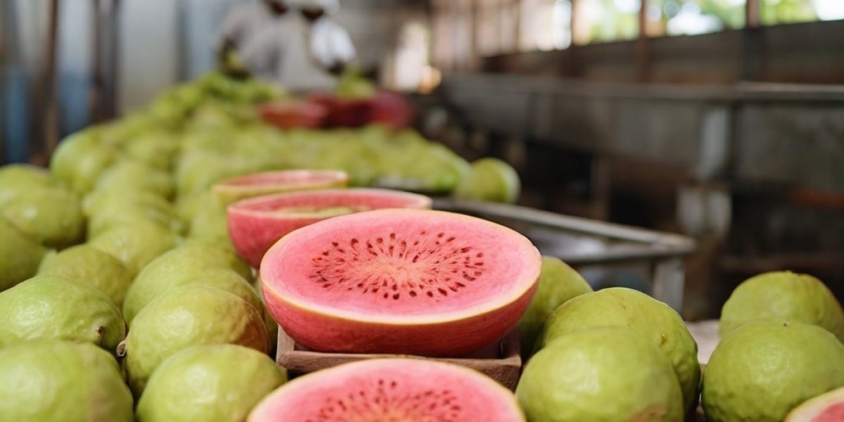 Guava Juice Processing Plant Cost, Setup Report | Raw Material Requirements and Industry Trends