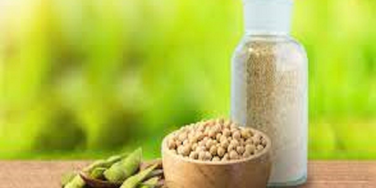 Soy Lecithin Market Size, In-depth Analysis Report and Global Forecast to 2032