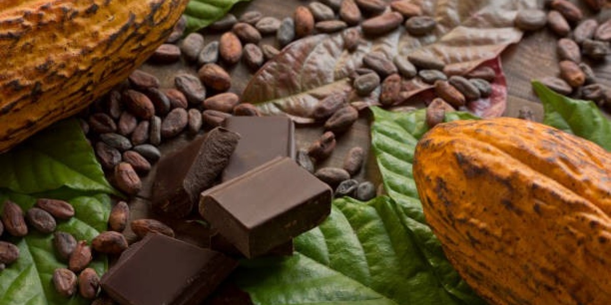 Exploring the Organic Chocolate Market: Size, Share, and Research Projections for 2032