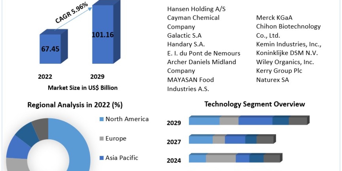 Dehydrated Vegetable Market Forecast: Key Trends Shaping the Industry to 2030