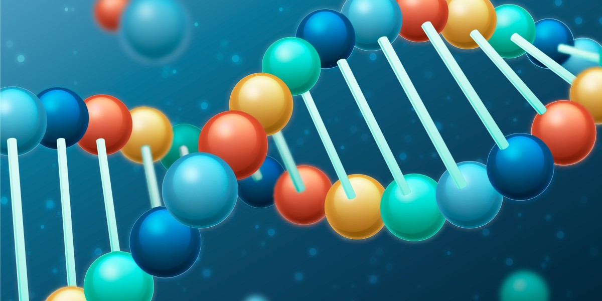 Genotype vs Phenotype: Key Differences You Should Know