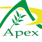 Apex herbex