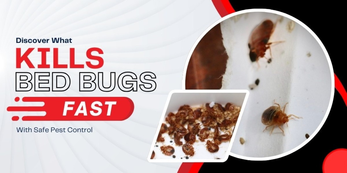 Discover What Kills Bed Bugs Fast With Safe Pest Control