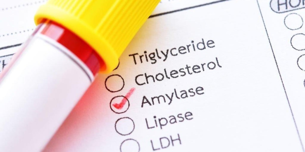 Amylase Testing Market Size, Share, Growth, Opportunities and Global Forecast to 2032