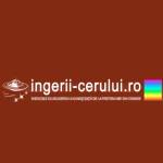 ingeriicerului