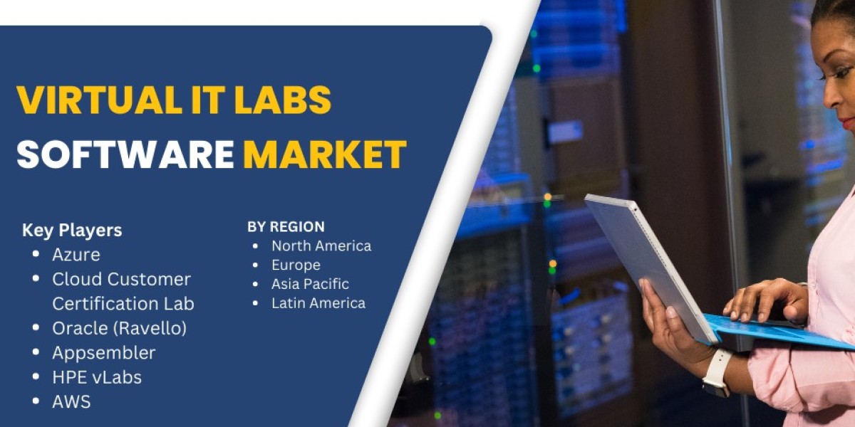 Virtual It Labs Software Market Analysis and Growth Projections, 2025-2033