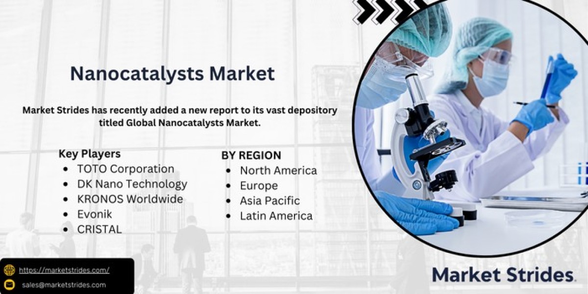 How will the Nanocatalysts Market evolve from 2025 to 2033?