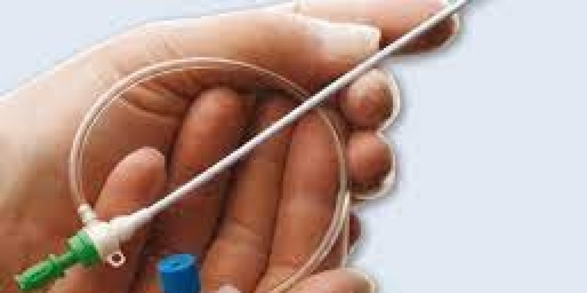 Sheath Introducer Market Size and Forecasts (2032), and Regional Share, Trends, and Growth Opportunity Analysis