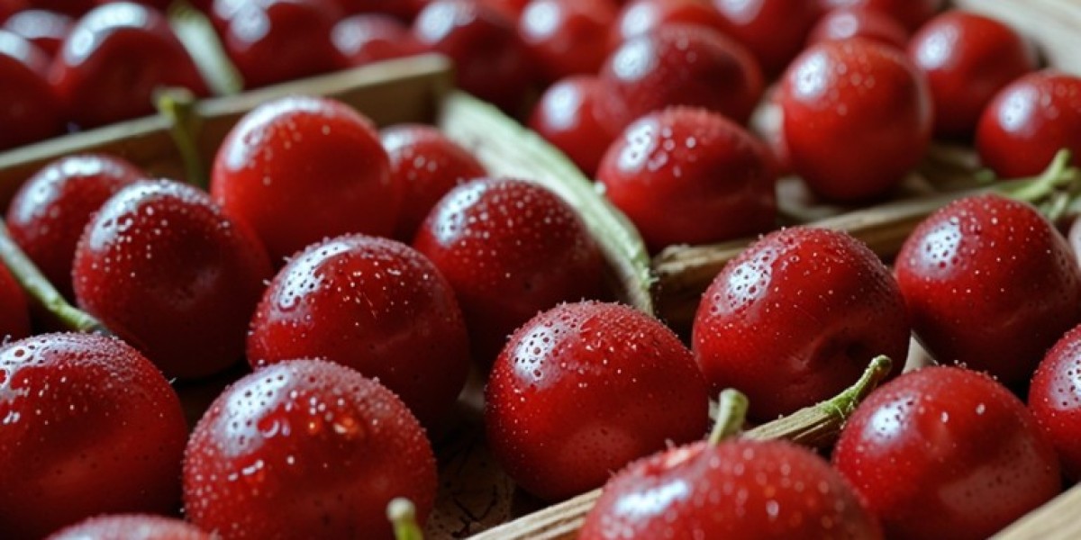 Acerola Cherry Processing Plant Project Report 2024: Business Plan, Capital Investments and Expenses