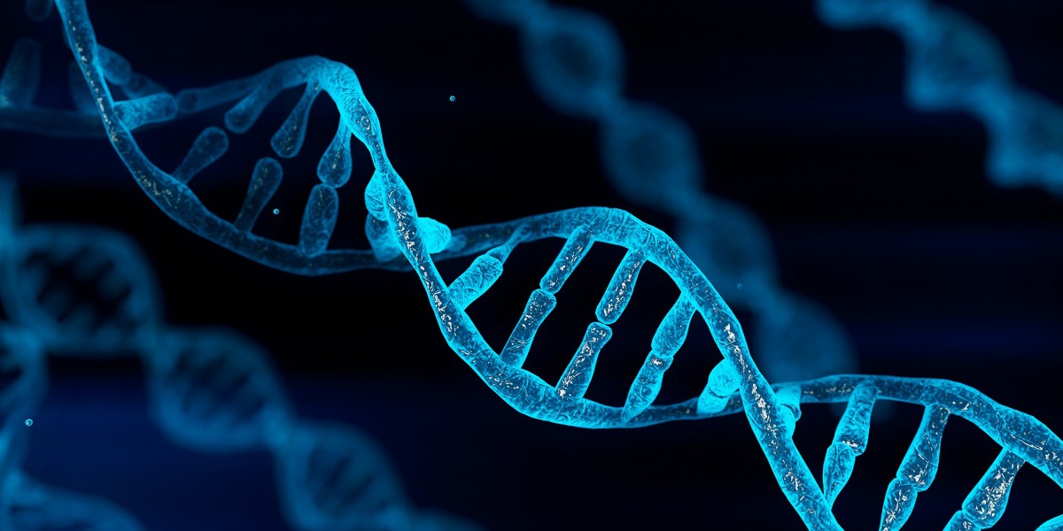 Animal Genetics Market: Personalized Nutrition and Medicine Through Genetic Insight