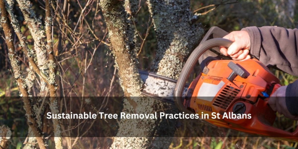 Sustainable Tree Removal Practices in St Albans