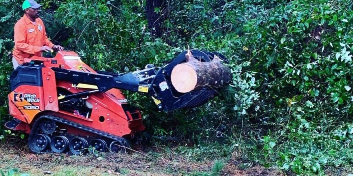 Signs That You Need Professional Tree Removal