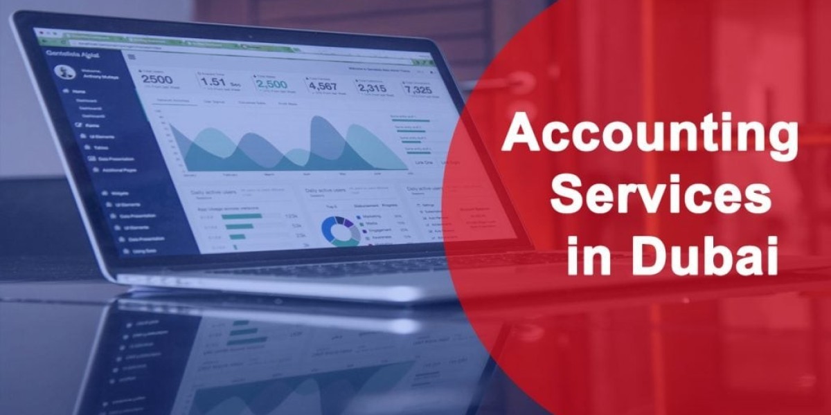 Why Your Business Needs Accounting Services in the UAE