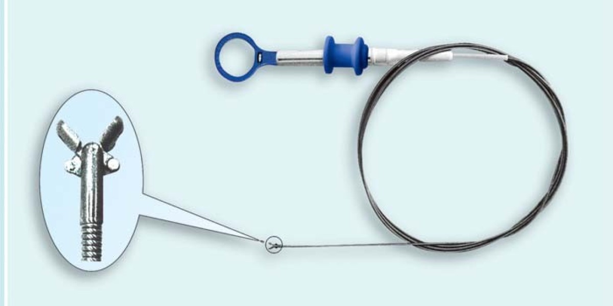 Disposable Endoscopes Market: Understanding Market Restraints and Challenges