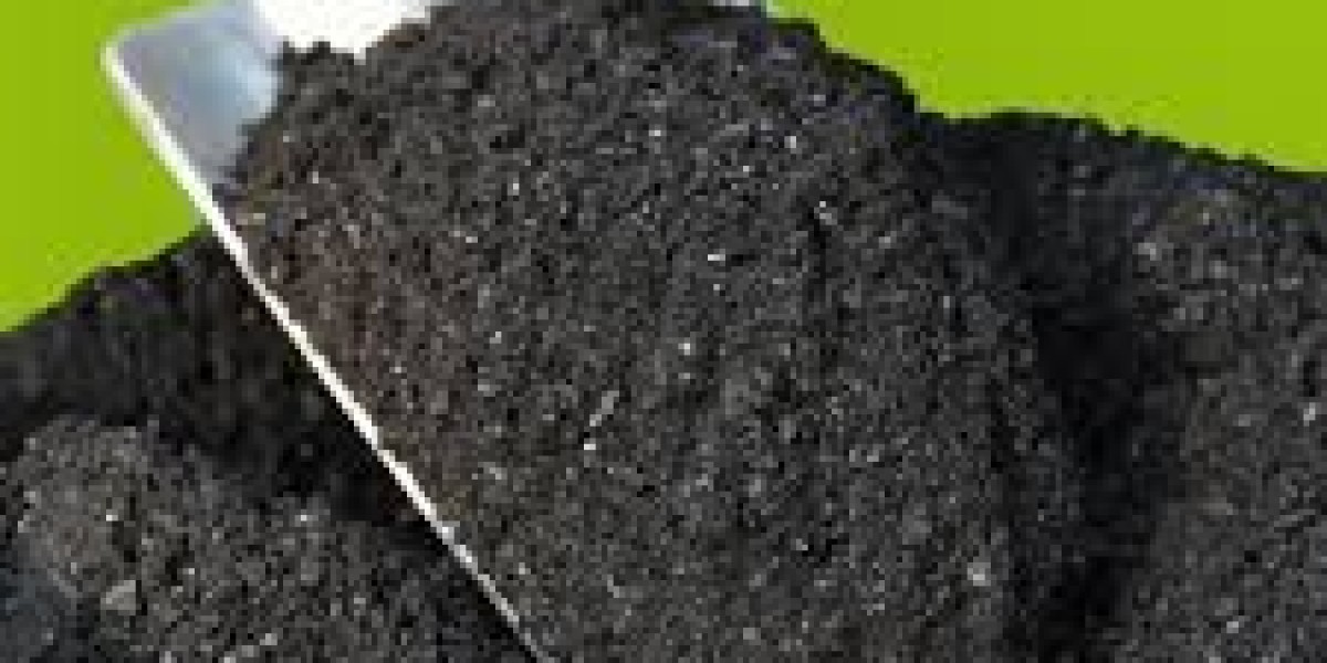 "Key Drivers and Trends in South Korea's Biochar Market"