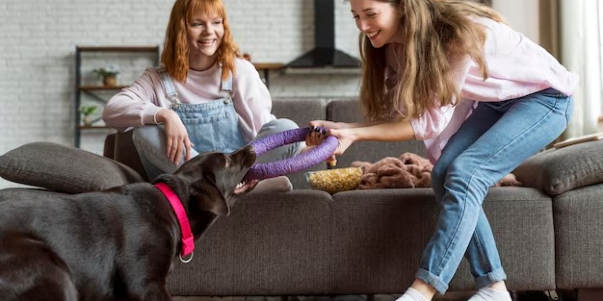 Pet Sitters in New Orleans: Finding the Perfect Care for Your Furry Friend