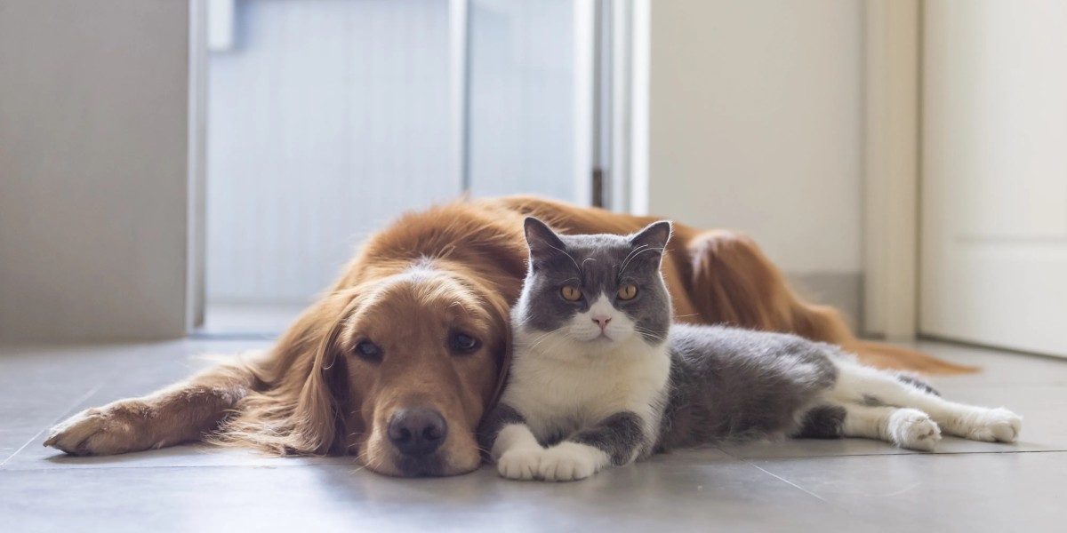 Companion Animals Drug Market: Challenges in Veterinary Care