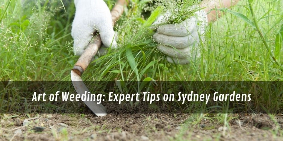 Art of Weeding: Expert Tips on Sydney Gardens