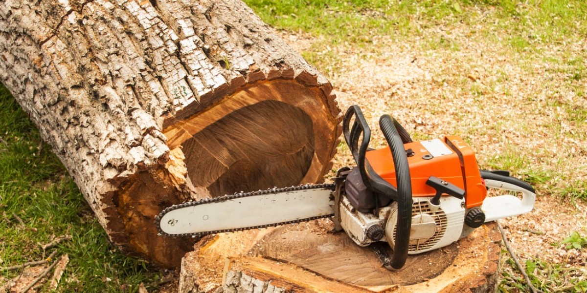 From Hazardous to Healthy: The Benefits of Professional Tree Removal