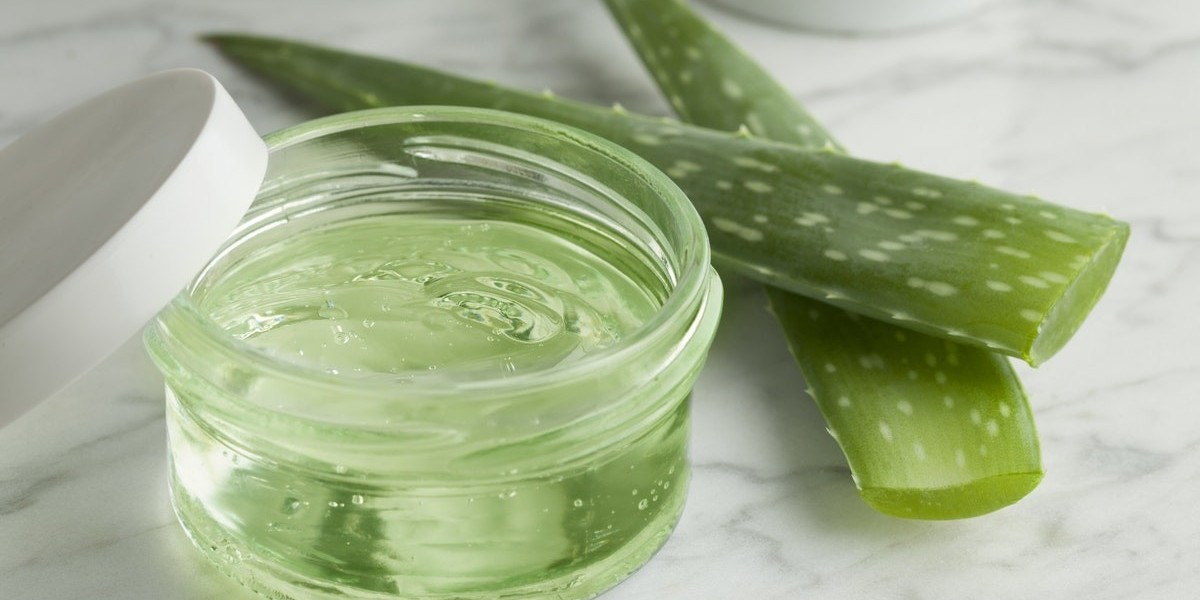 Aloe Vera Gel Market Growth: Key Drivers and Opportunities in Cosmetics and Healthcare