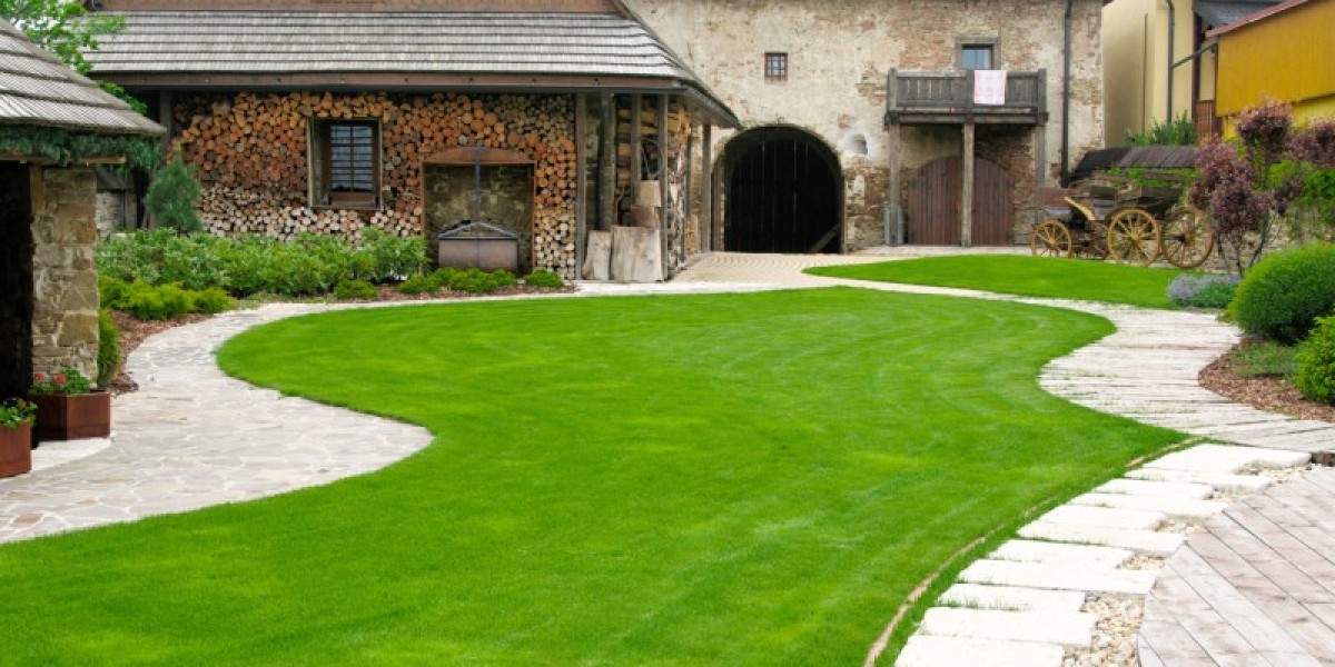 Hydroseed Revitalize Your Landscape with Minimal Effort