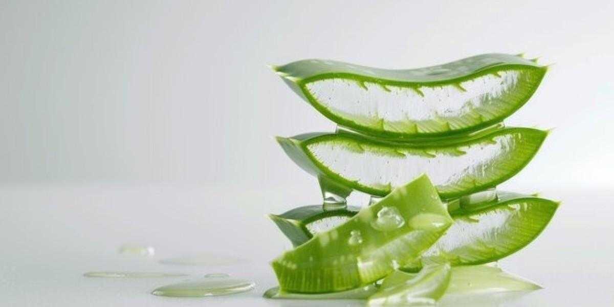 Aloe Vera Drink Market Dynamics: How Health and Wellness are Steering Growth