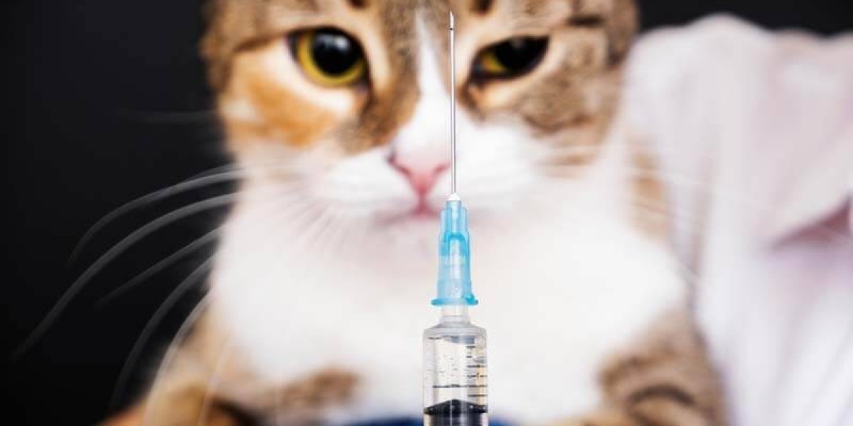 Veterinary Vaccines Market Strategic Outlook: Understanding Market Disruptions, Innovations, and Competitive Strategies