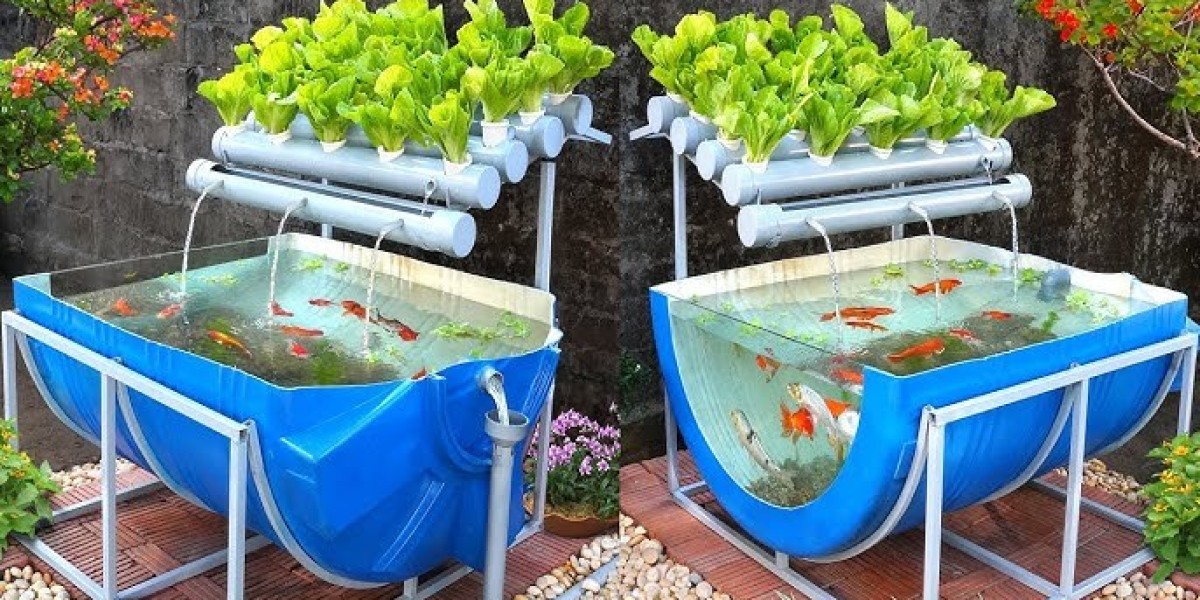 Aquaponics Market Demand Surges with Growing Focus on Water Conservation and Efficiency