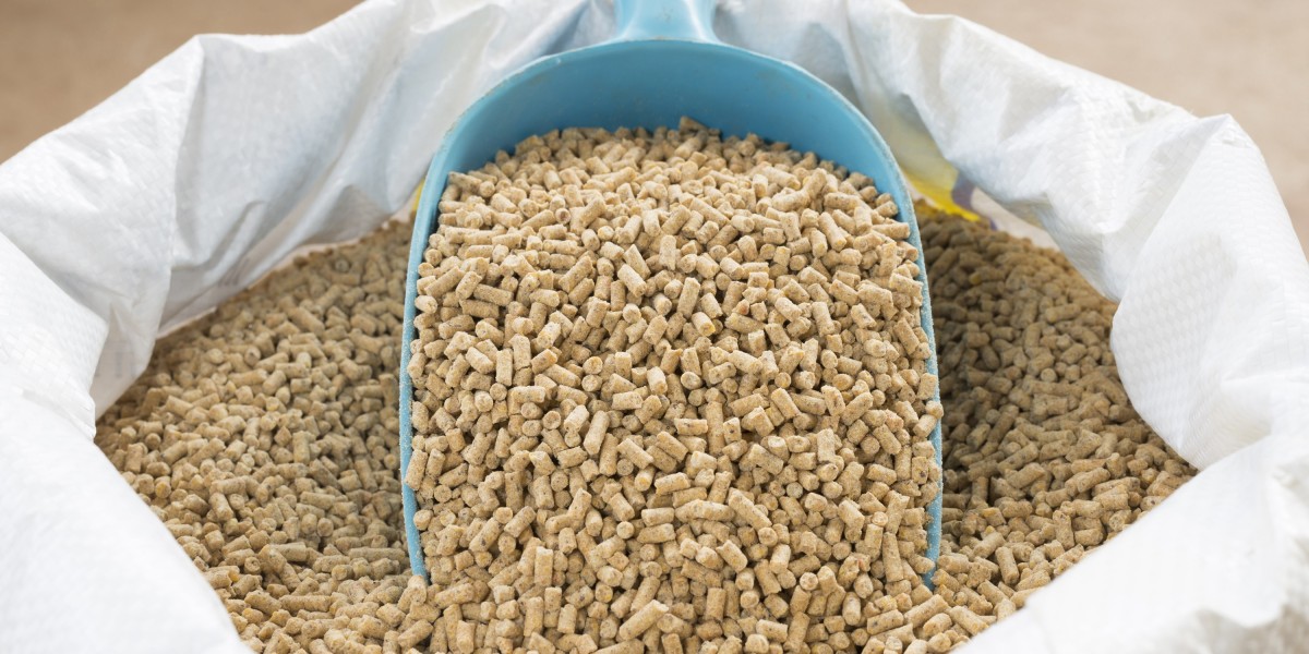 Animal Feed Additives Market: The Road Ahead for Growth and Innovation