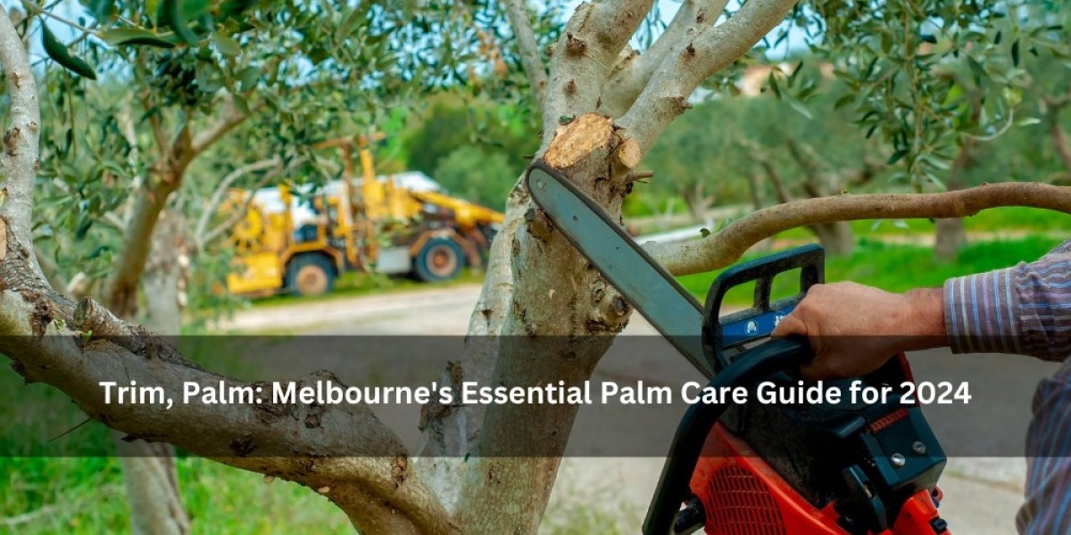 Trim, Palm: Melbourne's Essential Palm Care Guide for 2024