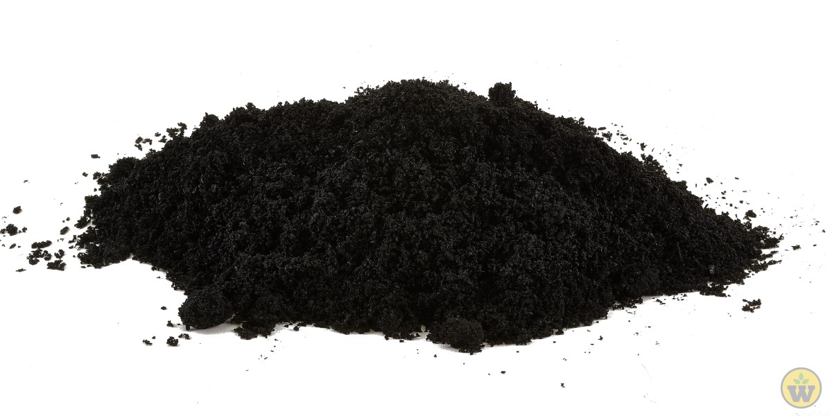 Biochar Market: The Role of Carbon Sequestration in Combating Climate Change