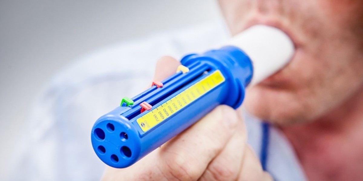 Peak Flow Meter Market: Empowering Patients with At-Home Respiratory Monitoring