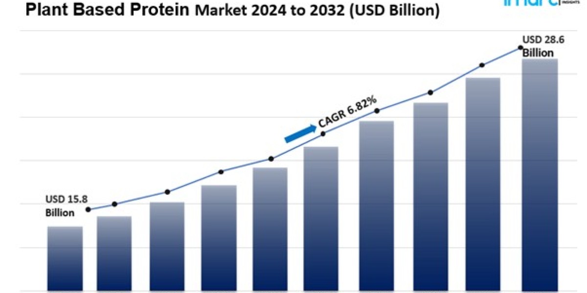 Plant Based Protein Market Size & Analysis Forecast 2024 To 2032