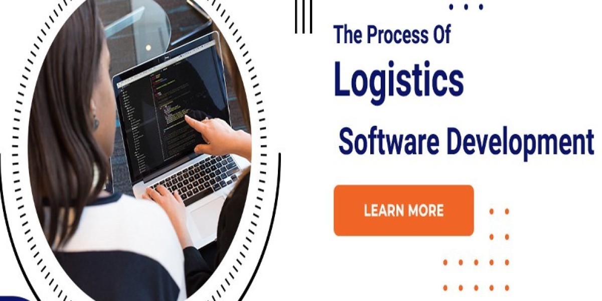 The Process Of Logistics Software Development