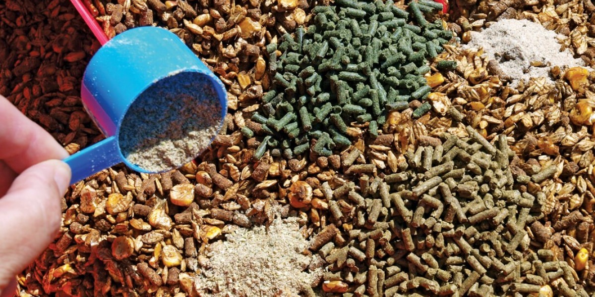 Animal Feed Additives Market: Factors Fueling the Surge in Demand