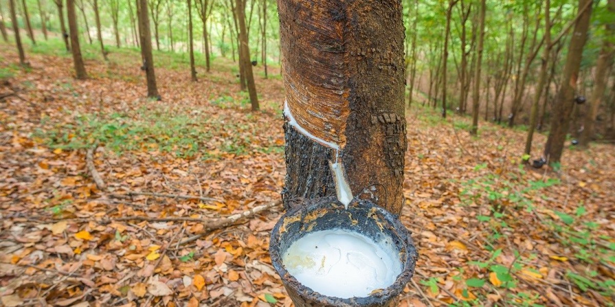 Natural Rubber Production Cost Analysis Report 2024: Operating Cost, Manufacturing Process and Raw Materials Requirement