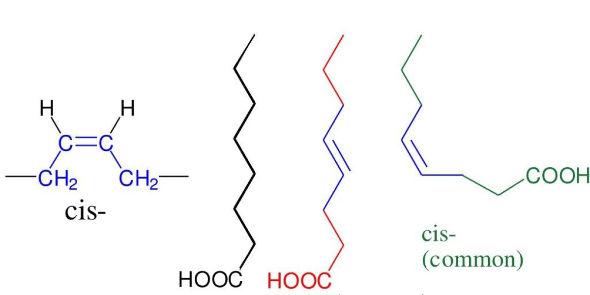 Fractionated Fatty Acid Market Future Outlook: Market Developments, Opportunities, and Strategic Forecasts