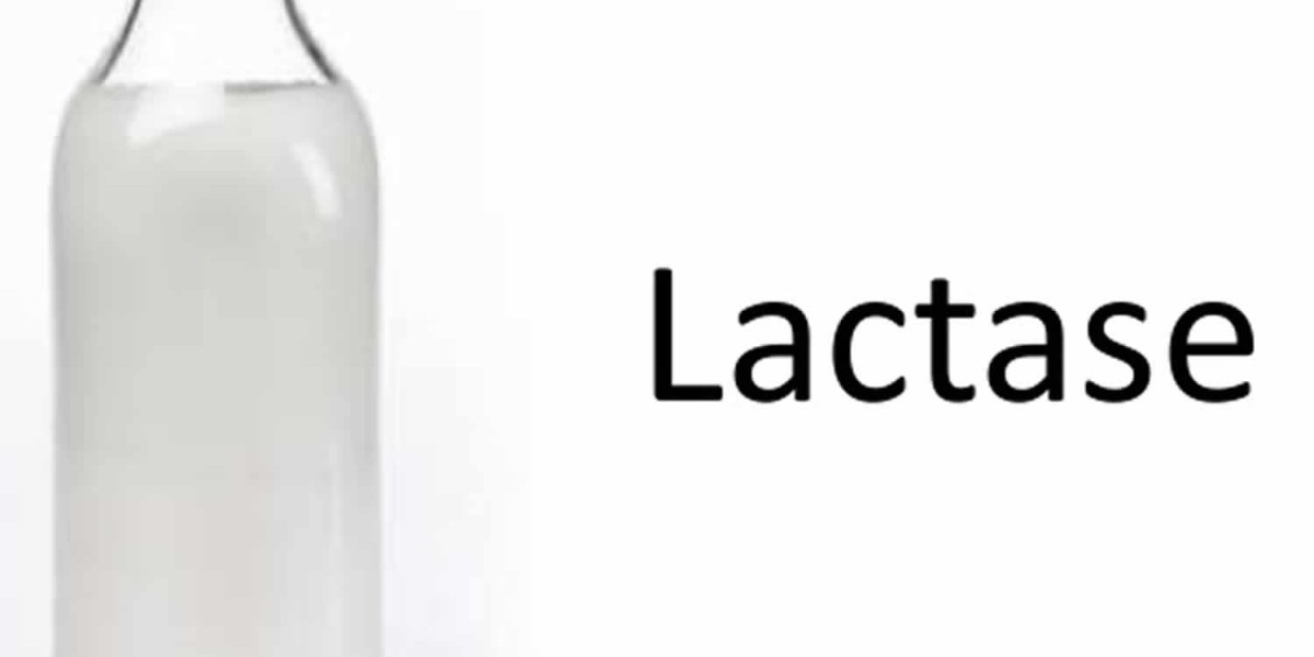 Lactase Market Strategic Insights: Key Actions for Dominating the Market