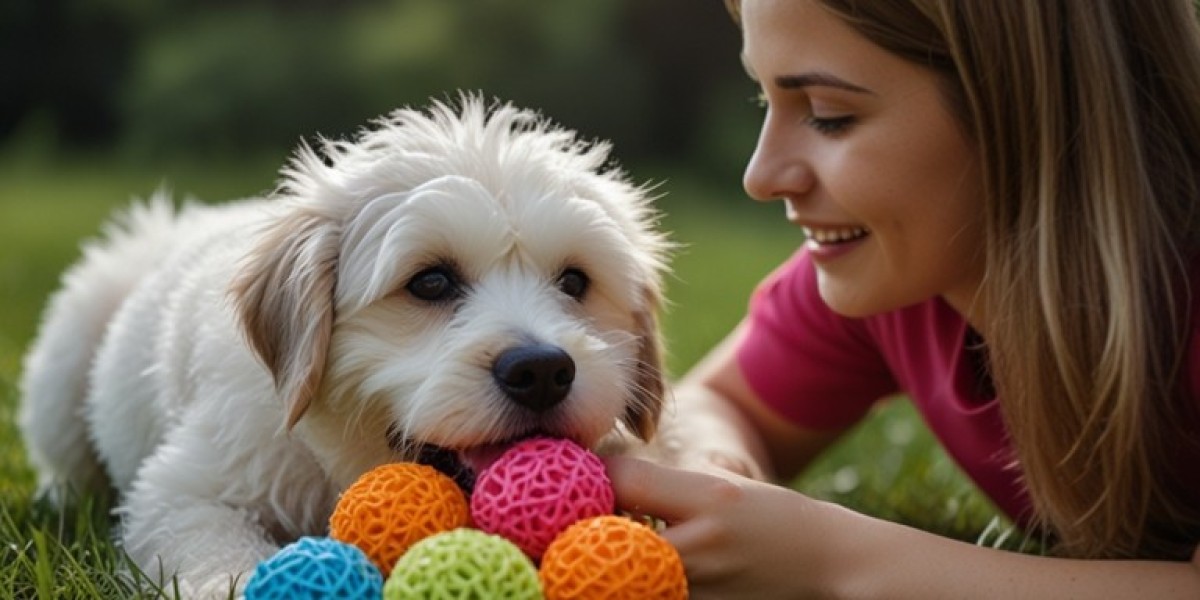 Pet Toy Manufacturing Plant Project Report 2024: Requirements and Cost Involved