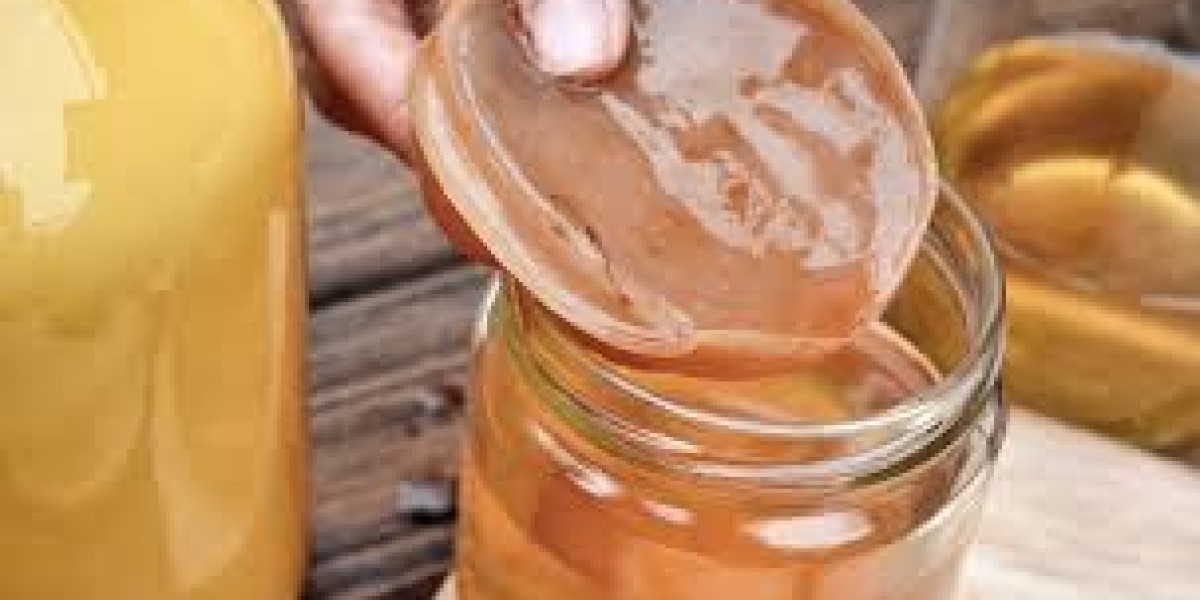 Kombucha Market Dynamics: Comprehensive Size and Growth Analysis Through 2032