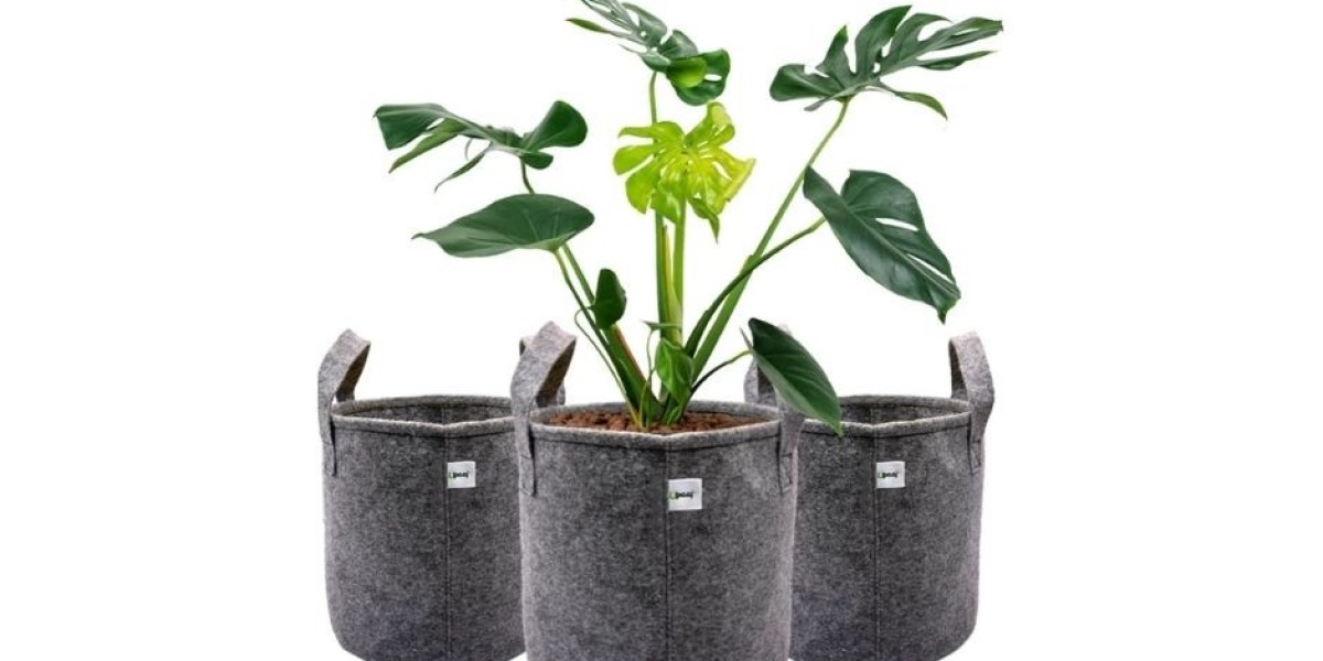 Eco-Friendly Planter Bags for Sustainable Gardening