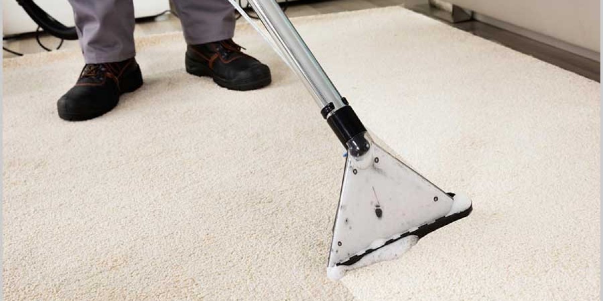 The Comfort and Health Benefits of Investing in Professional Carpet Cleaning