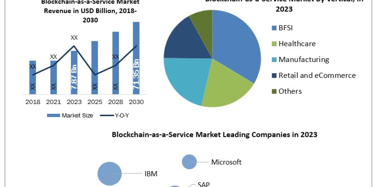 Blockchain-as-a-Service Market Investment, Revenue, Growth, Developments, Size, Share and Forecast 2030