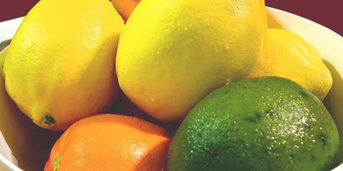 Citrus Fiber Market Growth: Key Success Strategies