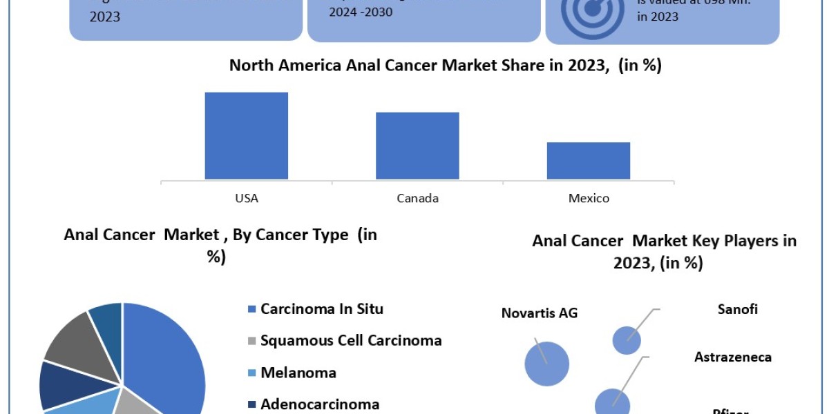 Anal Cancer Market	Statistical Snapshot: Size, Share, Revenue, and Worth Statistics | 2024-2030