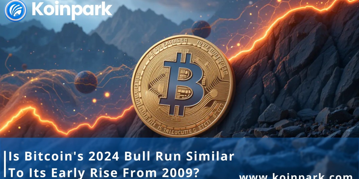 Is Bitcoin's 2024 bull run similar to its early rise from 2009?