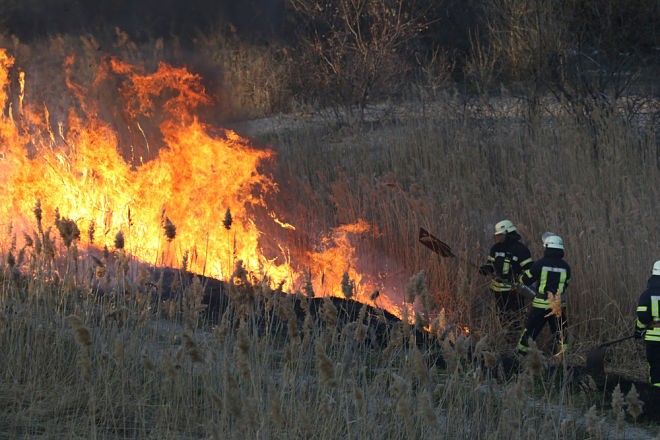 Why Fire Mitigation Matters in Vancouver, WA